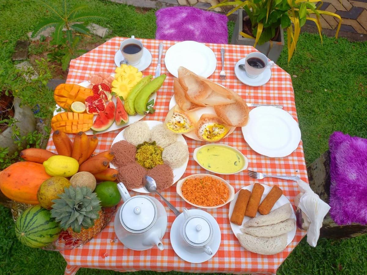 Dinu Lanka Resort Katunayaka Exteriér fotografie